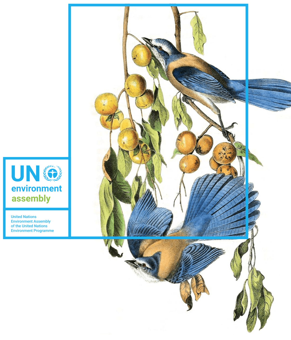 Assemblea Ambiente UNEP-EA