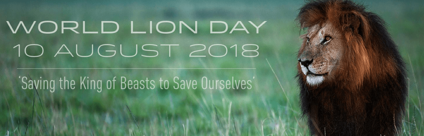 Giornata Mondiale del leone