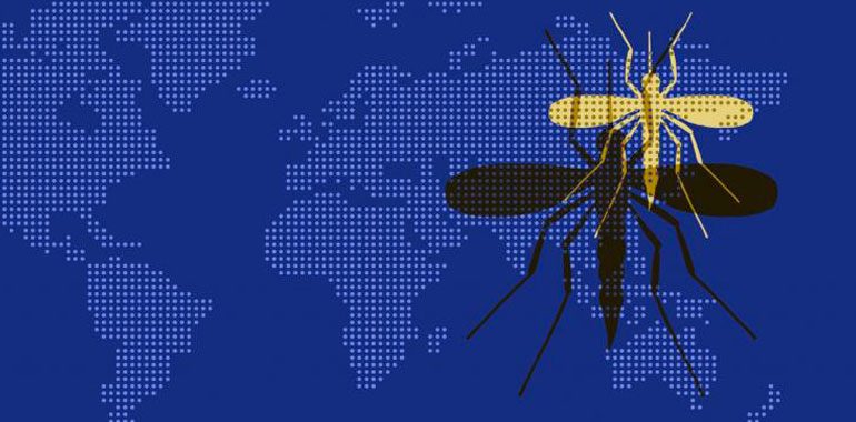 virus trasmessi da zanzare