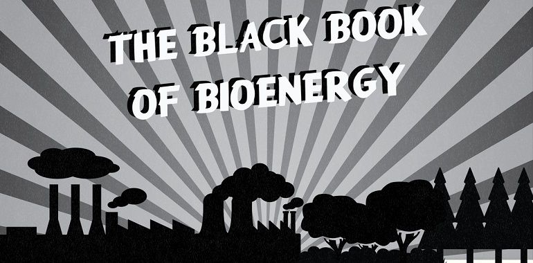 libro nero bioenergie